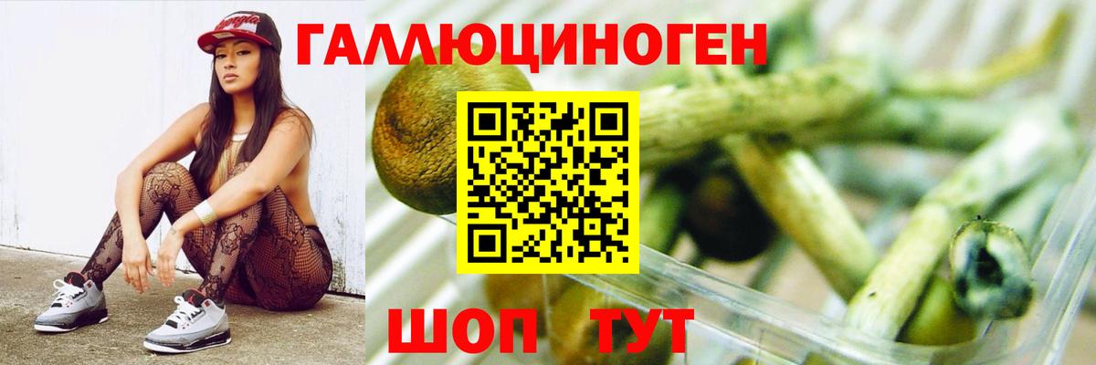 Галлюциногенные грибы Cubensis  Псилоцибиновые грибы GOLDEN TEACHER  Волхов  Вход с VPN 