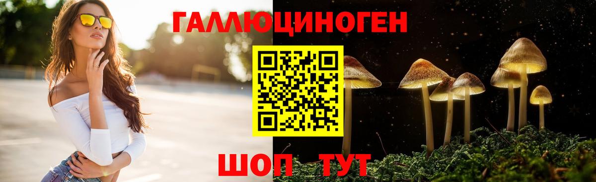 Галлюциногенные грибы мицелий Волхов