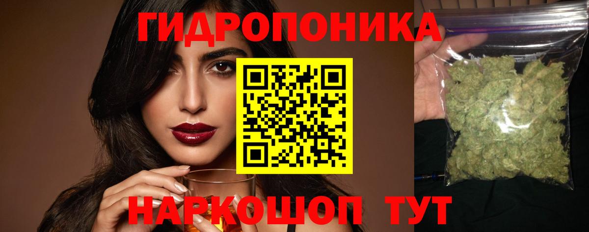Шишки марихуана сатива Волхов